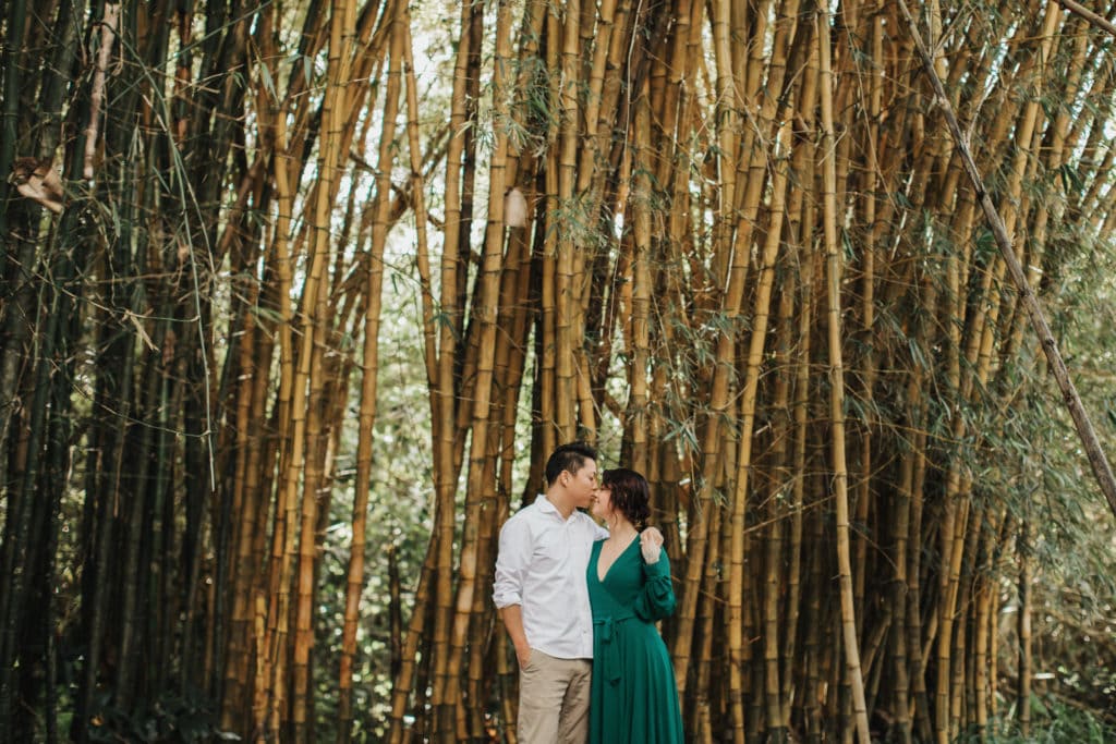 Engagement Photo Session Maui