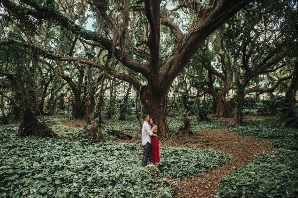 Maui Engagement Photography