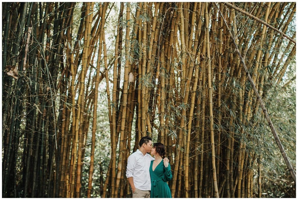 Maui Waterfall engagement Photos