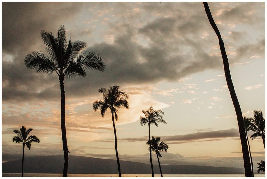 Hyatt Maui Wedding Photographer Amy Jayne Photographed the couple on their wedding day in this beautiful hotel and reception to follow with friends and family