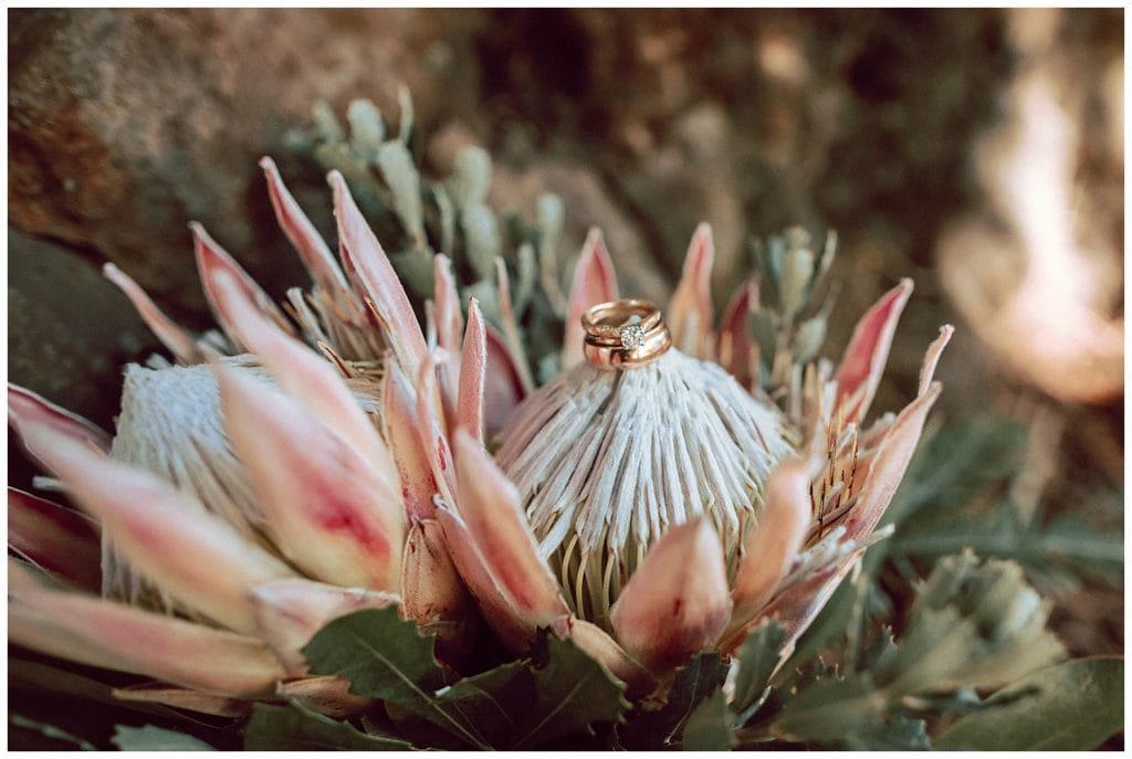 Kula Botanical Garden Wedding