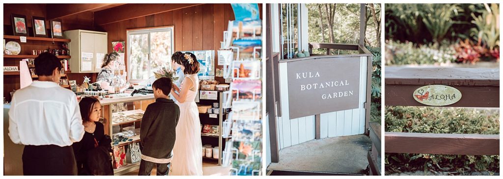 Elopement in Maui