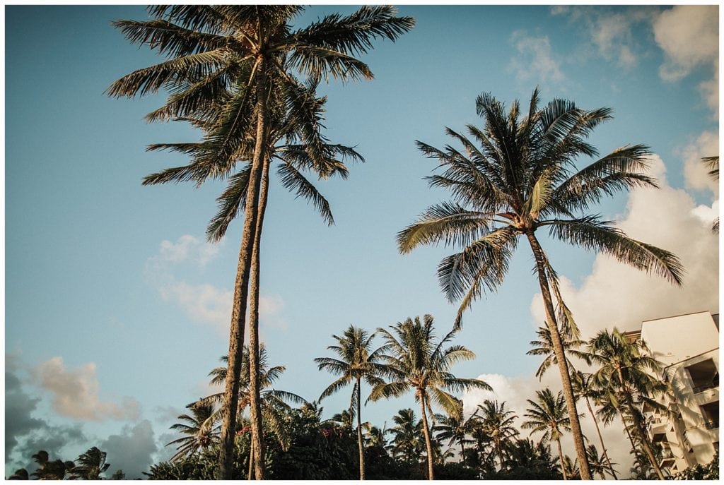 Hawaii Photographer - Montage Kapalua Wedding