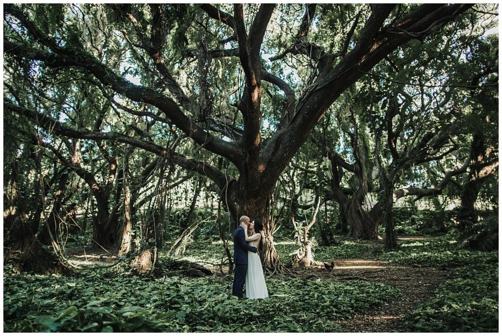 Maui Jungle Wedding Elopement in Kapalua at a jungle and at Ironwoods beach.