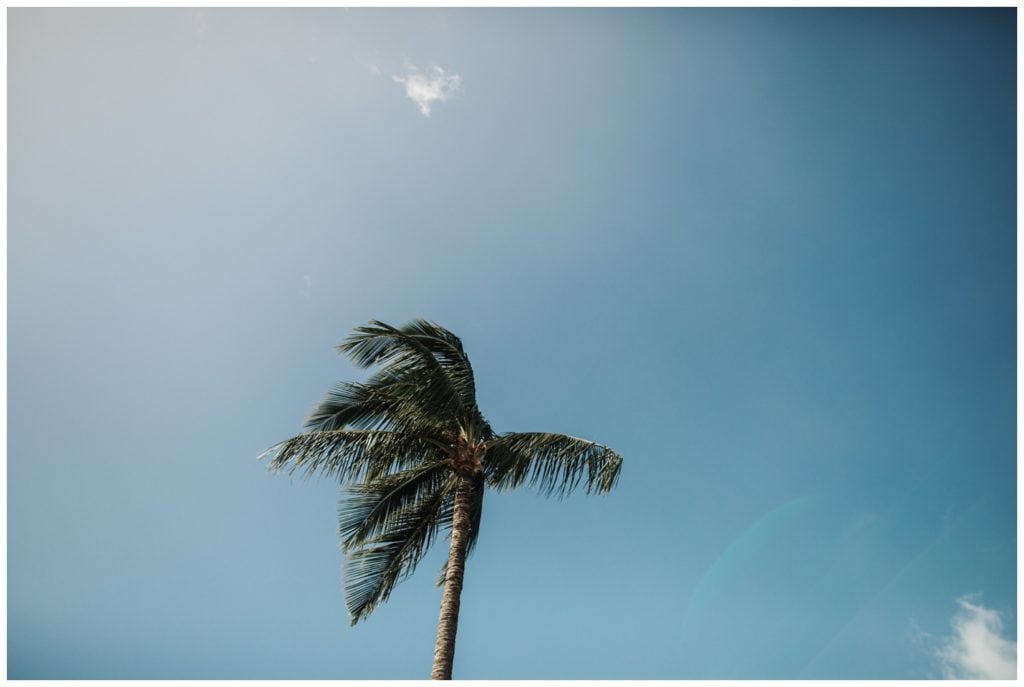Hawaii Elopement on the beach Photographer Amy Jayne captured couple getting married and reception at a restaurant in Lahaina