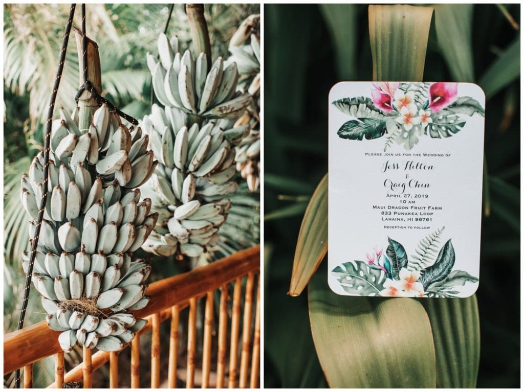 Maui Lahaina Dragon Fruit Farm Wedding couple getting married wedding day in Maui