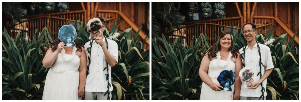 Maui Lahaina Dragon Fruit Farm Wedding couple getting married wedding day in Maui