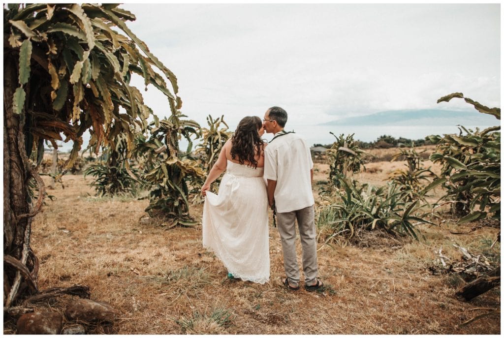 Maui Lahaina Dragon Fruit Farm Wedding couple getting married wedding day in Maui