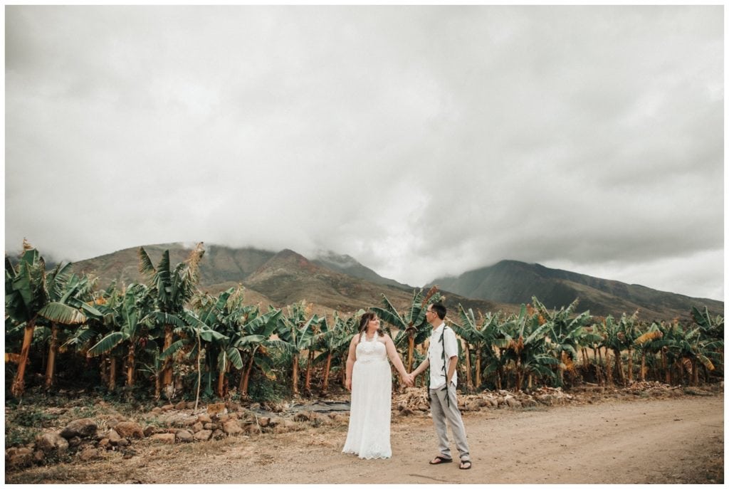 Maui Lahaina Dragon Fruit Farm Wedding couple getting married wedding day in Maui
