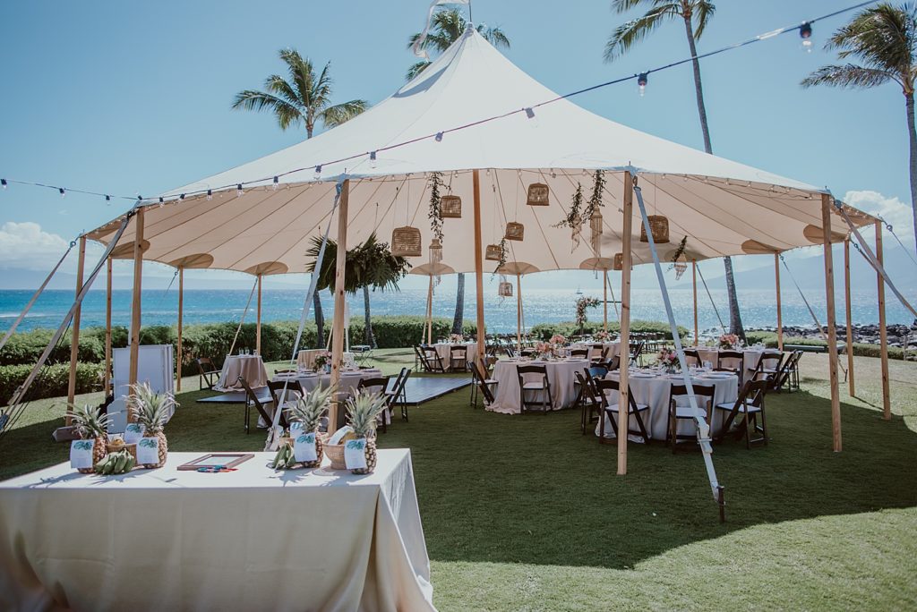 Detail shot of outdoor Reception area under white tent cover and pineapple guest book table