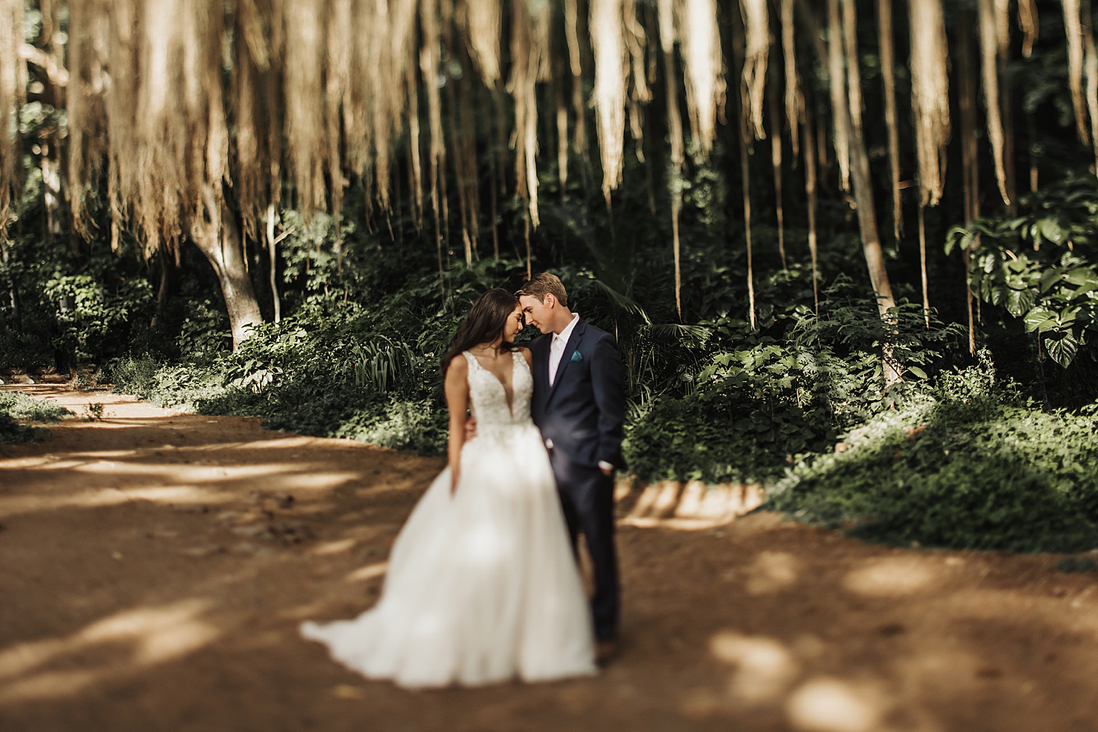 Bride and Groom resting their heads against each other underneath tree
