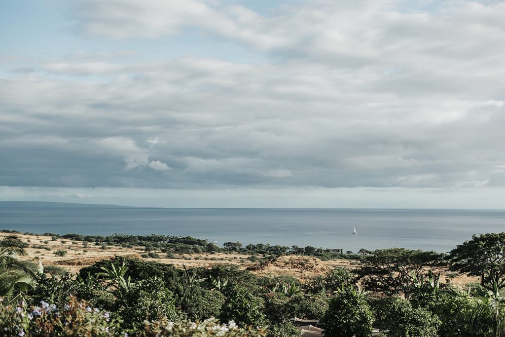 Detail shot of ocean with greenery landscape